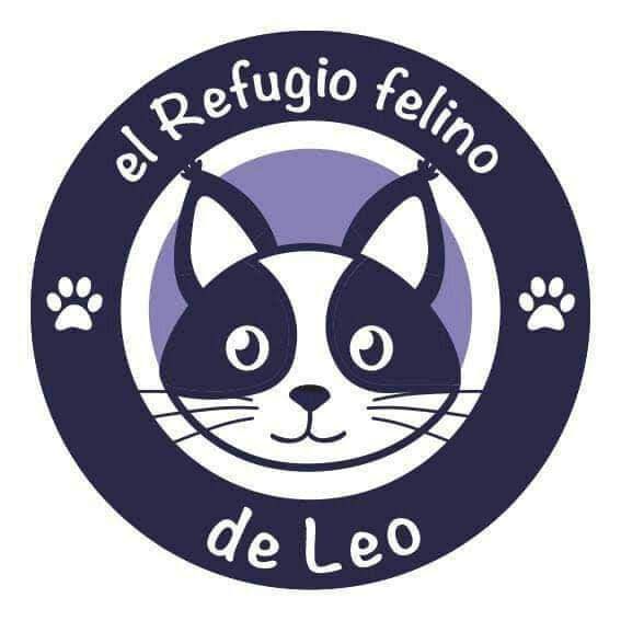 Refugio Felino de Leo Refugio de animales en Málaga, Málaga ADOPTA Sitios Pet Friendly 