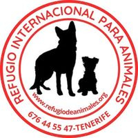 img principal ADOPTA Sitios Pet Friendly