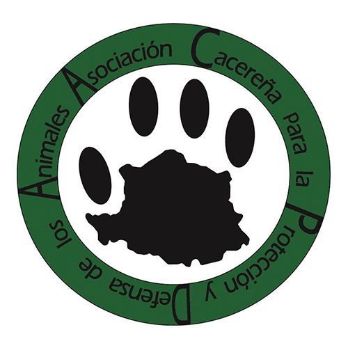 img principal ADOPTA Sitios Pet Friendly