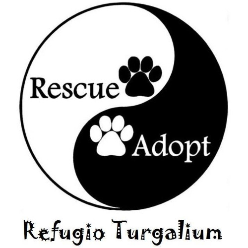 img principal ADOPTA Sitios Pet Friendly