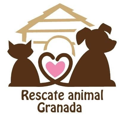 img principal ADOPTA Sitios Pet Friendly