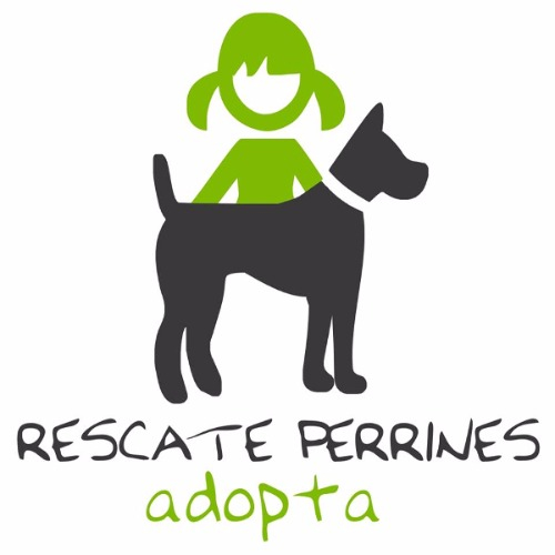 img principal ADOPTA Sitios Pet Friendly