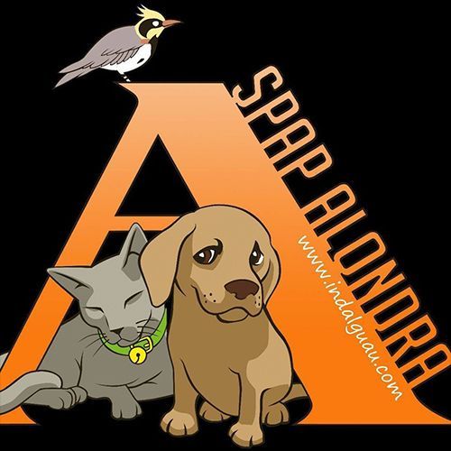 img principal ADOPTA Sitios Pet Friendly