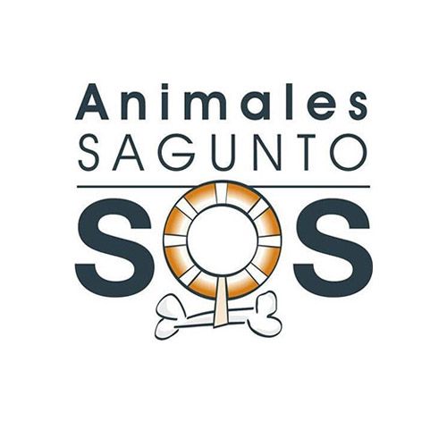 img principal ADOPTA Sitios Pet Friendly
