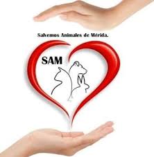 img principal ADOPTA Sitios Pet Friendly