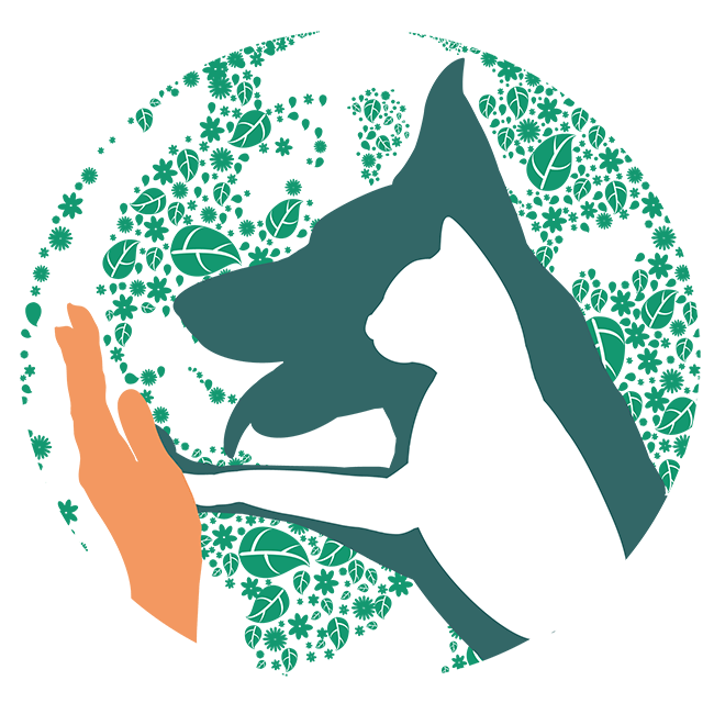 img principal ADOPTA Sitios Pet Friendly