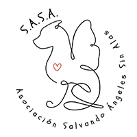 img principal ADOPTA Sitios Pet Friendly