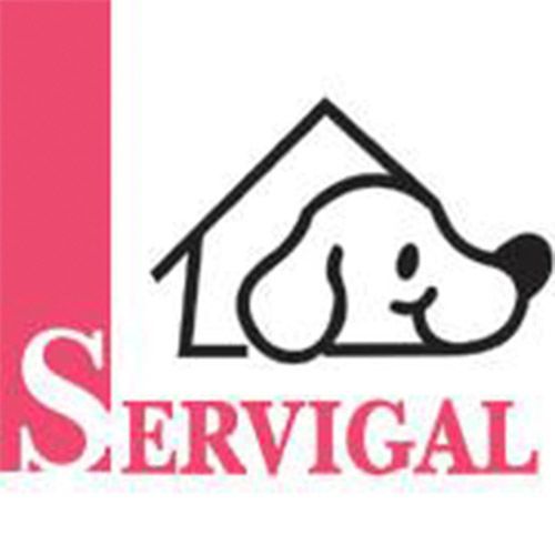 img principal ADOPTA Sitios Pet Friendly