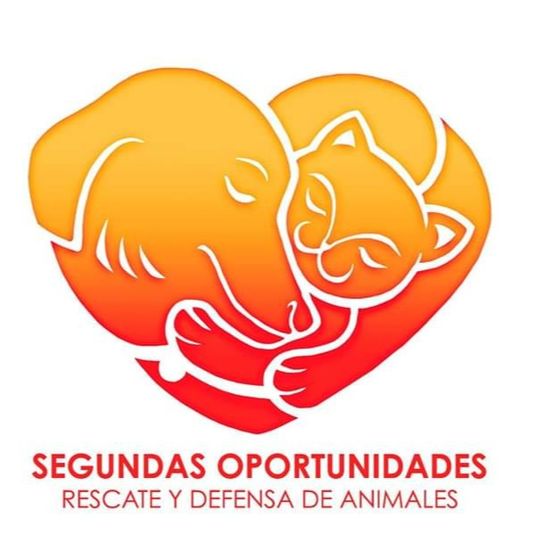 img principal ADOPTA Sitios Pet Friendly