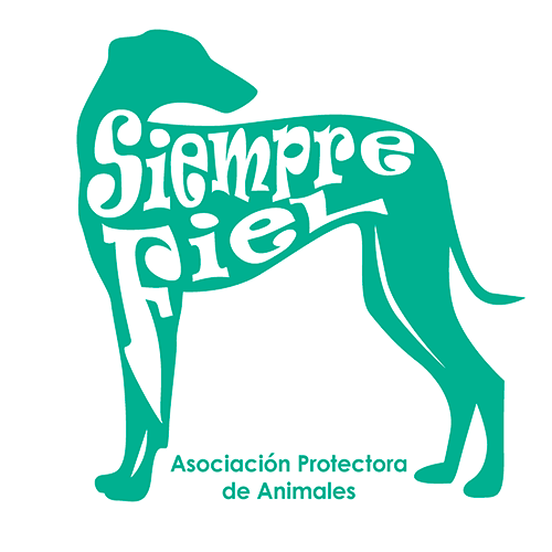 img principal ADOPTA Sitios Pet Friendly