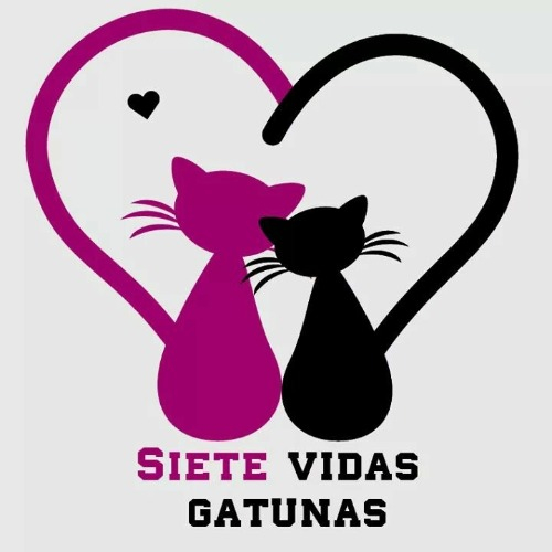 img principal ADOPTA Sitios Pet Friendly