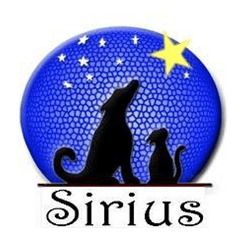 img principal ADOPTA Sitios Pet Friendly