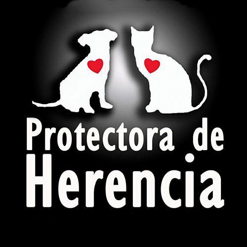 img principal ADOPTA Sitios Pet Friendly