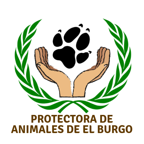 img principal ADOPTA Sitios Pet Friendly