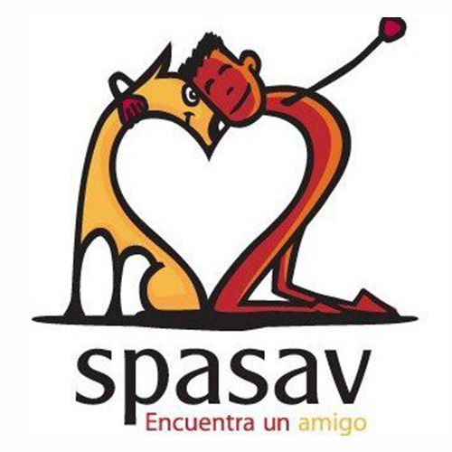 img principal ADOPTA Sitios Pet Friendly