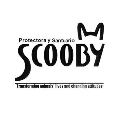 img principal ADOPTA Sitios Pet Friendly
