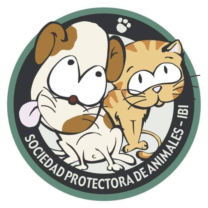 img principal ADOPTA Sitios Pet Friendly