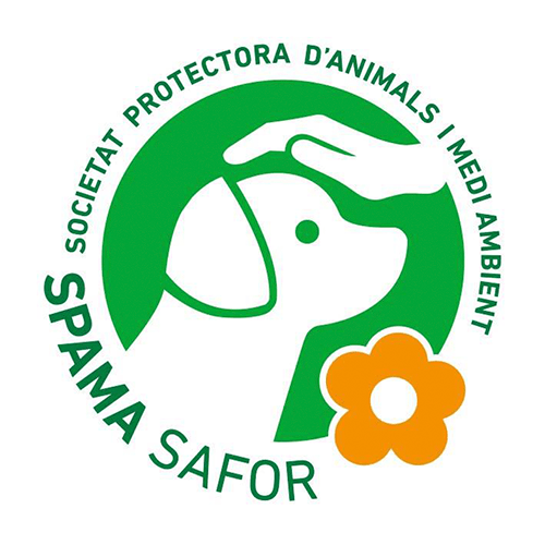 img principal ADOPTA Sitios Pet Friendly