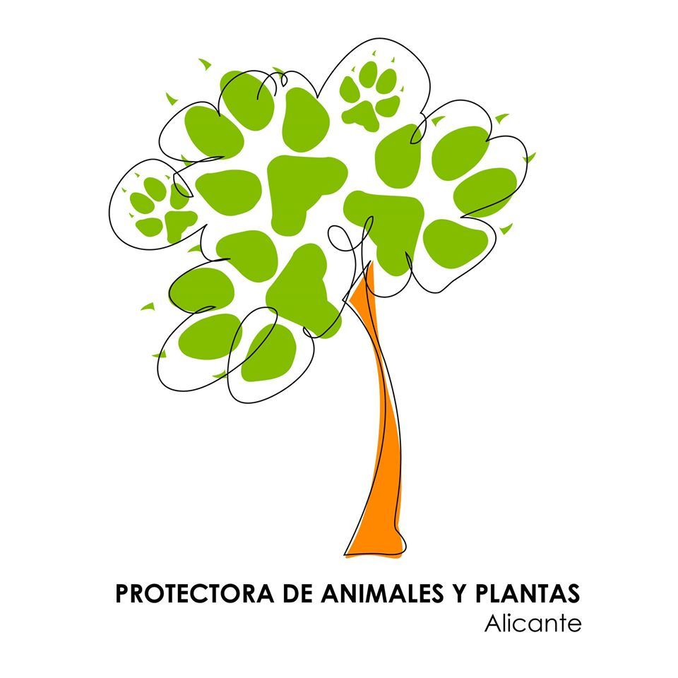 img principal ADOPTA Sitios Pet Friendly