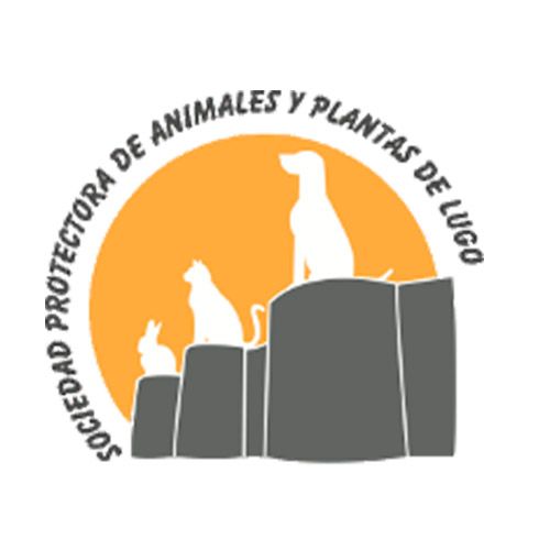 img principal ADOPTA Sitios Pet Friendly