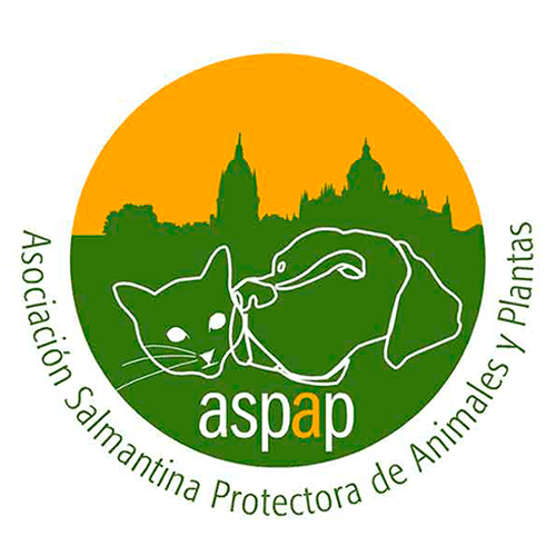 img principal ADOPTA Sitios Pet Friendly