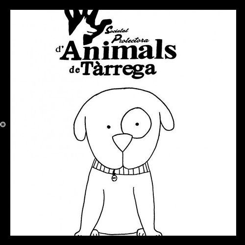 img principal ADOPTA Sitios Pet Friendly