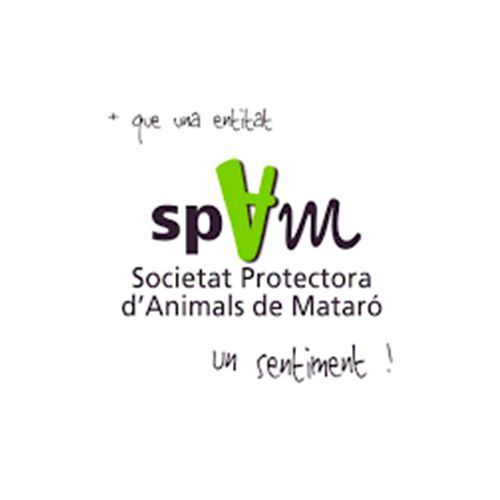 img principal ADOPTA Sitios Pet Friendly