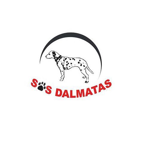 img principal ADOPTA Sitios Pet Friendly