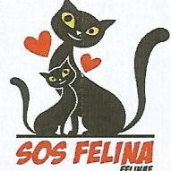 img principal ADOPTA Sitios Pet Friendly