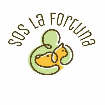 img principal ADOPTA Sitios Pet Friendly