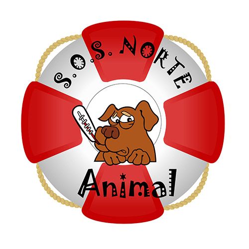 img principal ADOPTA Sitios Pet Friendly