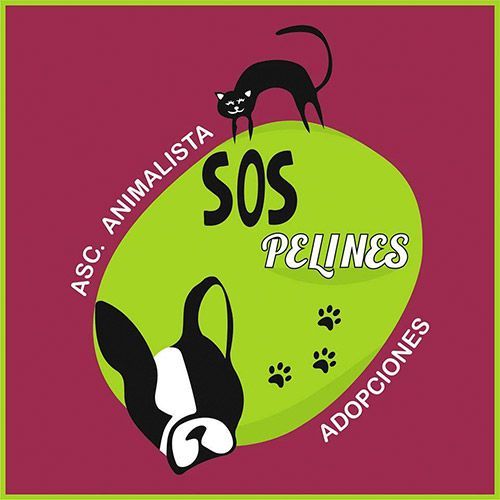 img principal ADOPTA Sitios Pet Friendly