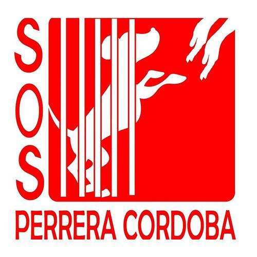 img principal ADOPTA Sitios Pet Friendly