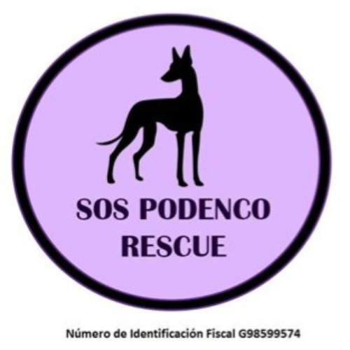 img principal ADOPTA Sitios Pet Friendly