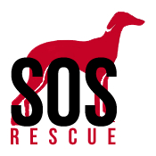 img principal ADOPTA Sitios Pet Friendly