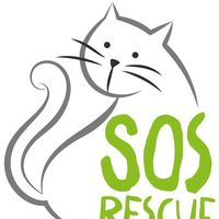img principal ADOPTA Sitios Pet Friendly
