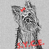 img principal ADOPTA Sitios Pet Friendly