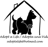img principal ADOPTA Sitios Pet Friendly