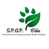 img principal ADOPTA Sitios Pet Friendly