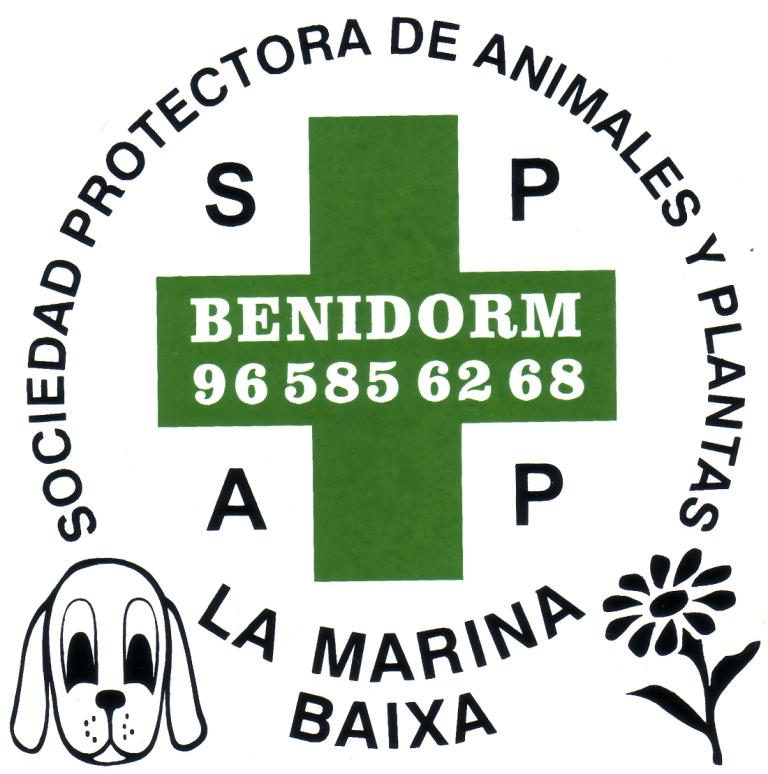 img principal ADOPTA Sitios Pet Friendly
