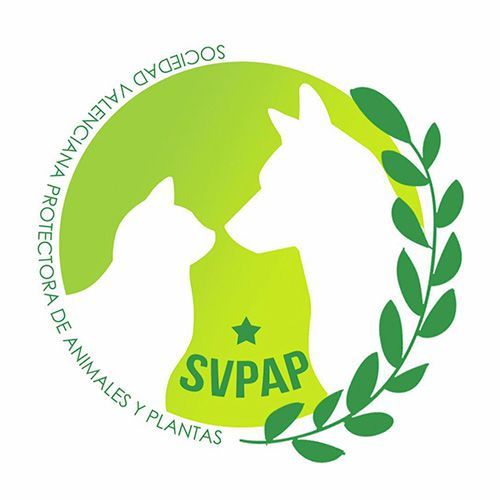 img principal ADOPTA Sitios Pet Friendly