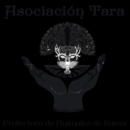 img principal ADOPTA Sitios Pet Friendly