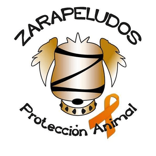 img principal ADOPTA Sitios Pet Friendly