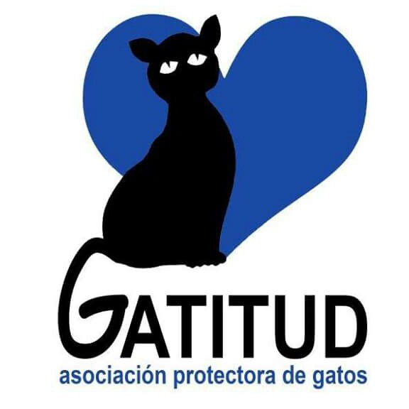 img principal ADOPTA Sitios Pet Friendly