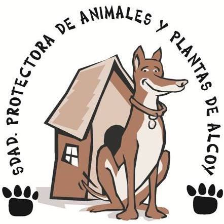 img principal ADOPTA Sitios Pet Friendly