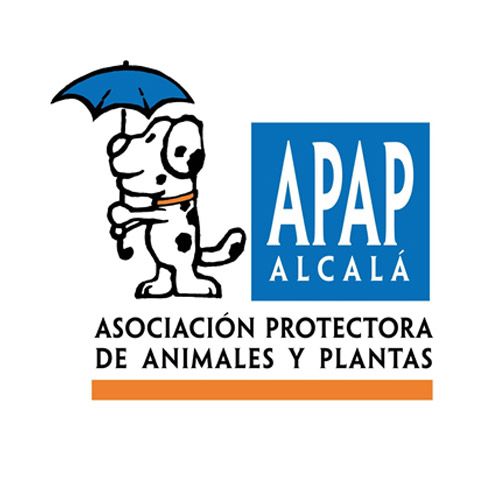 img principal ADOPTA Sitios Pet Friendly