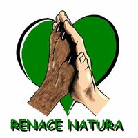 img principal ADOPTA Sitios Pet Friendly