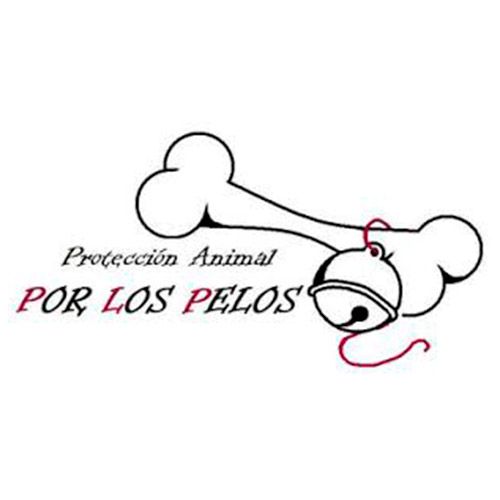 img principal ADOPTA Sitios Pet Friendly