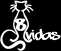 img principal ADOPTA Sitios Pet Friendly
