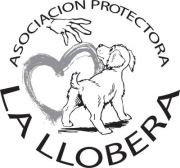 img principal ADOPTA Sitios Pet Friendly
